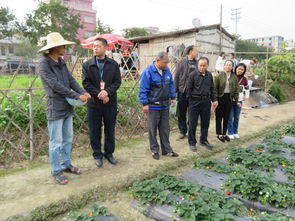 新興縣人民政府門戶網站