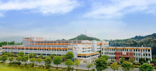 中紅醫療子公司恒保防護獲評桂林市2022年產業振興創新企業