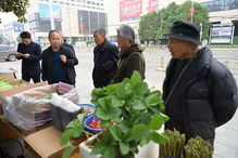 部門動態丨上蔡縣農業局啟動綠色食品宣傳月活動