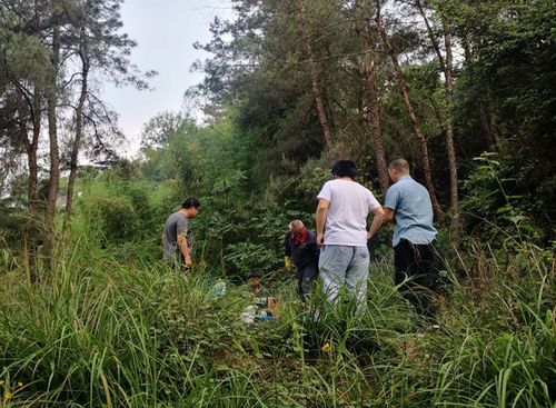自貢市農業農村局