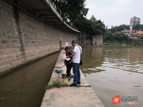長江十年禁漁 自貢漁民 轉身 上岸,開啟新生活