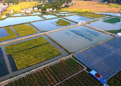 下一個十年,不必再羨慕東部沿海