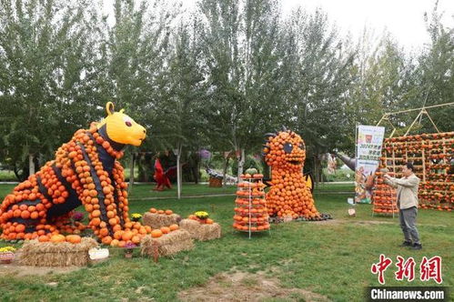 寧夏銀川 36組大地藝術品裝扮金秋