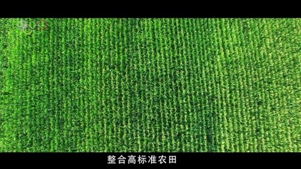 藍光映像作品:《奧環模式產好糧》自貢市農業局