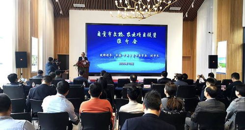 打造成渝地區特色消費目的地 四川自貢推介文旅和農業項目