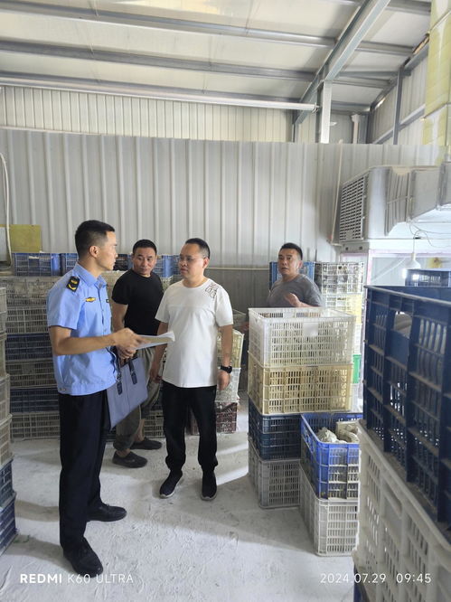 福建泉州洛江開展樹脂工藝品行業專項整治 守護城市好 氣質