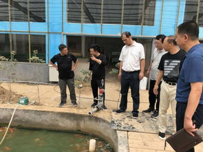 北京市農業局領導調研大興區水產養殖場