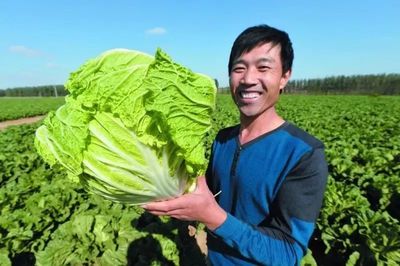 《2017年度全國名特優新農產品目錄》發布!這161個蔬菜產品更火了!