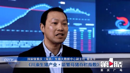 川渝攜手共同推動城鄉融合發展