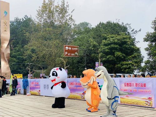 打造成渝地區(qū)特色消費目的地 四川自貢推介文旅和農(nóng)業(yè)項目