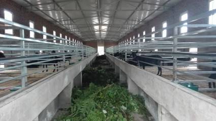 “滎經縣2000只優質種羊產業基地建設項目”順利通過省、市、縣聯合驗收組驗收