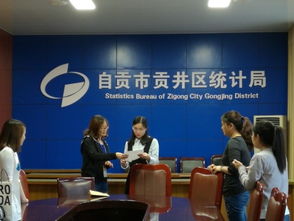 自貢市農普辦到貢井區開展數據質量抽查工作