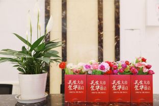 全國人大常委委員陳文華率隊考察中國西部現代農業投資集團，自貢市農業局陪同調研