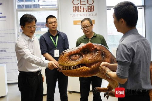 陳揚杰調研高新區 黨建引領企業文化建設，智能彩燈閃耀創新之光