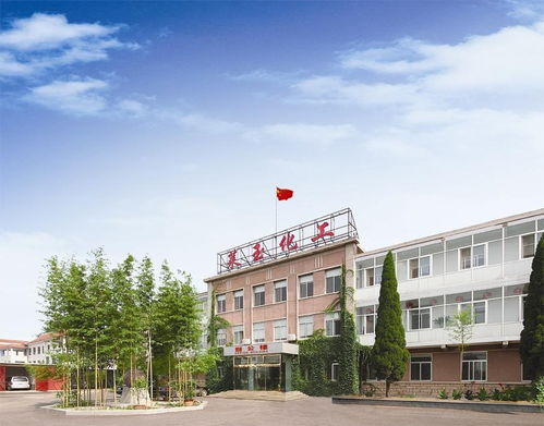 萊州市萊玉化工與自貢市農業局的產業協同發展前景探究