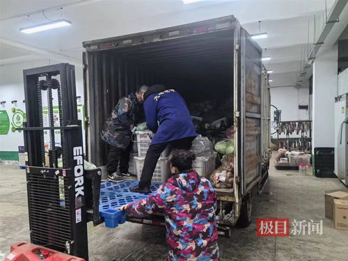 雪后武漢鮮活農產品產銷兩旺，日均交易量突破7000噸