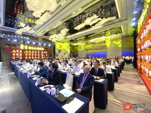 以更加開放的姿態擁抱世界——回眸自貢參與第十八屆中國西部國際博覽會